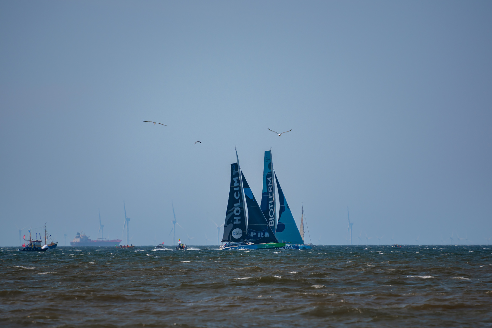 In-Port-Race in Den Haag