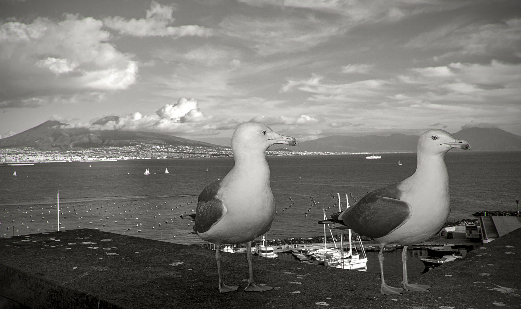 In posa davanti al Vesuvio