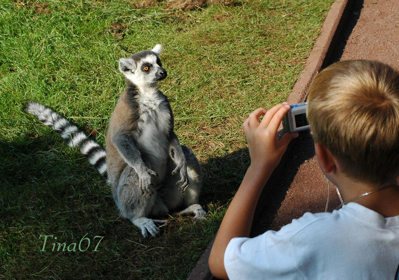 In Pose gesetzt