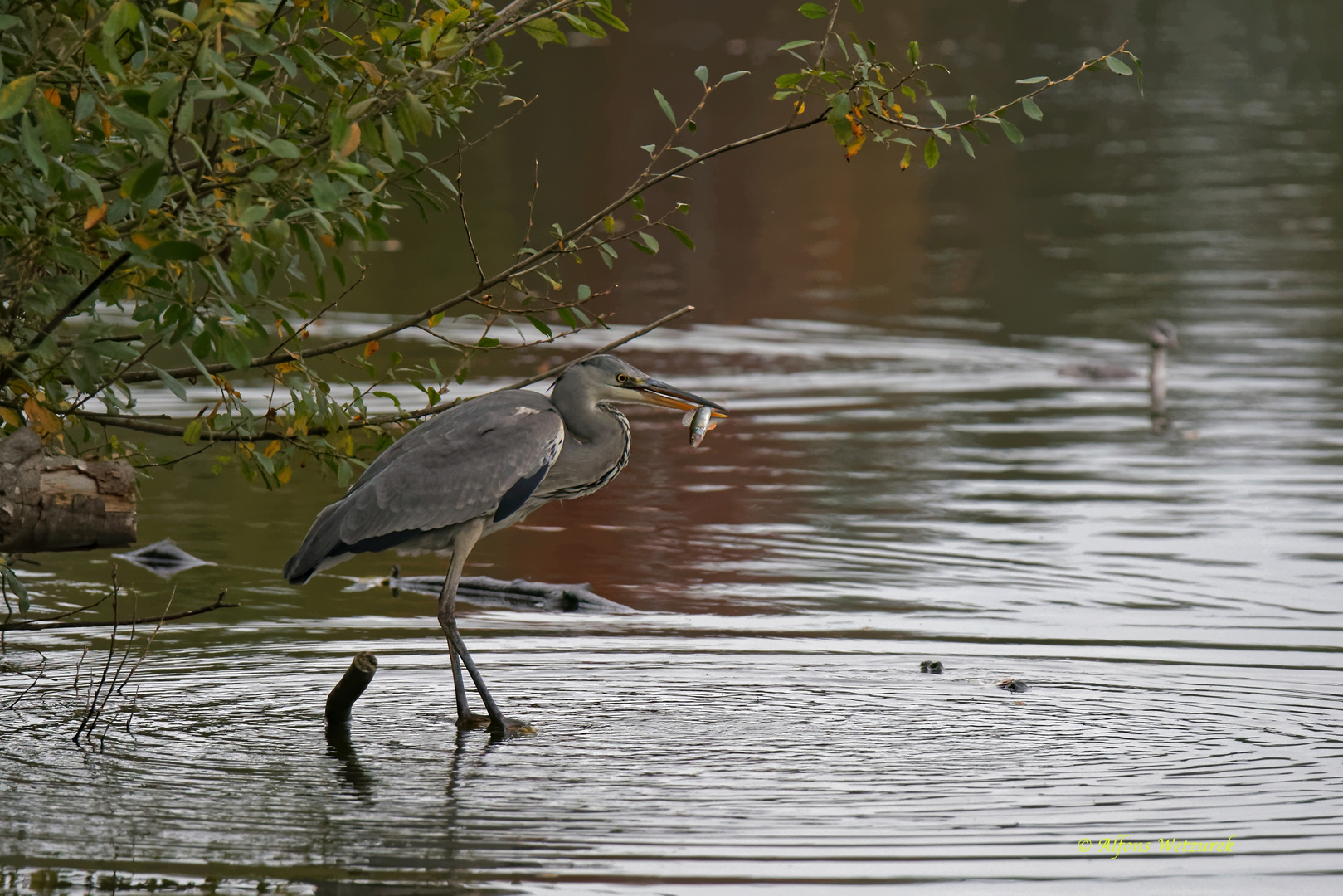 in Position bringen