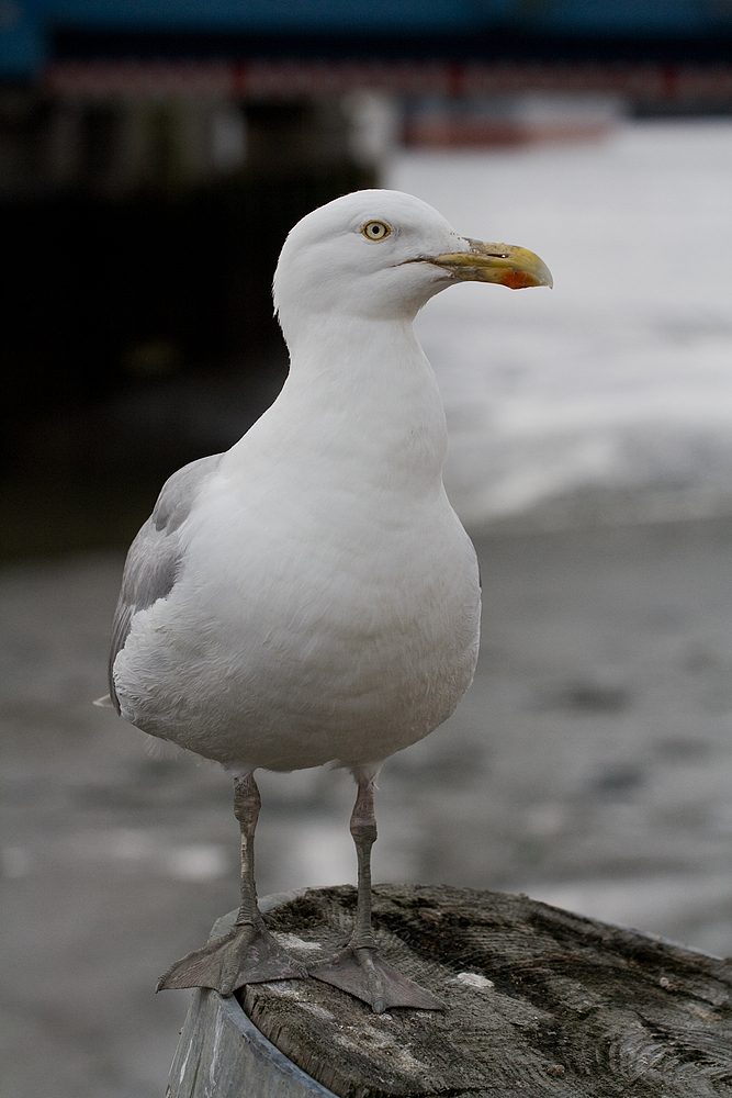 In Position