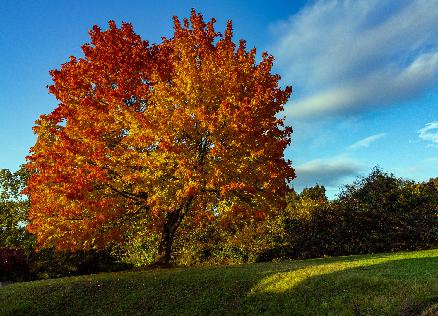 In prächtiger Herbstfärbung