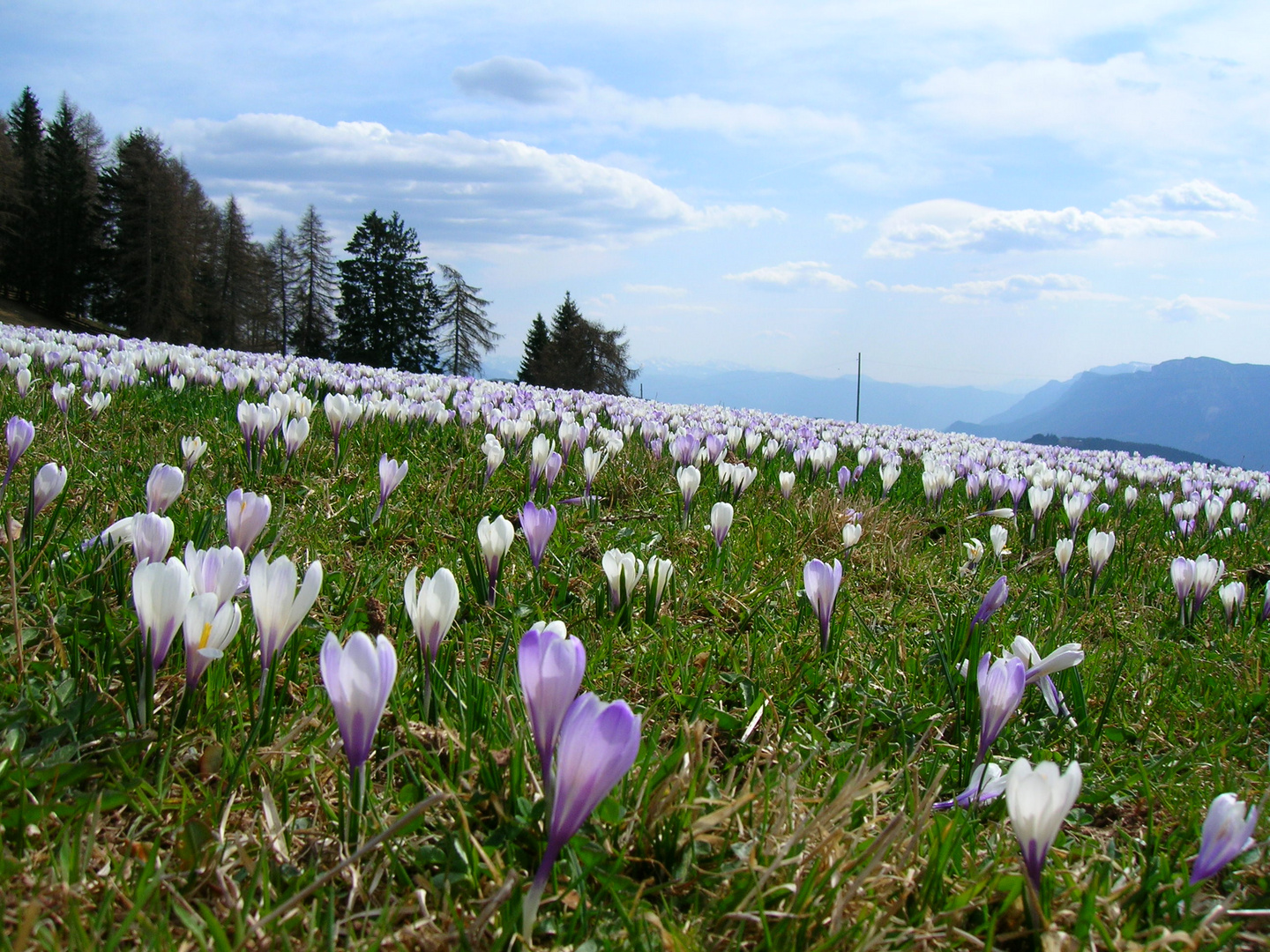 In primavera la vita rinasce