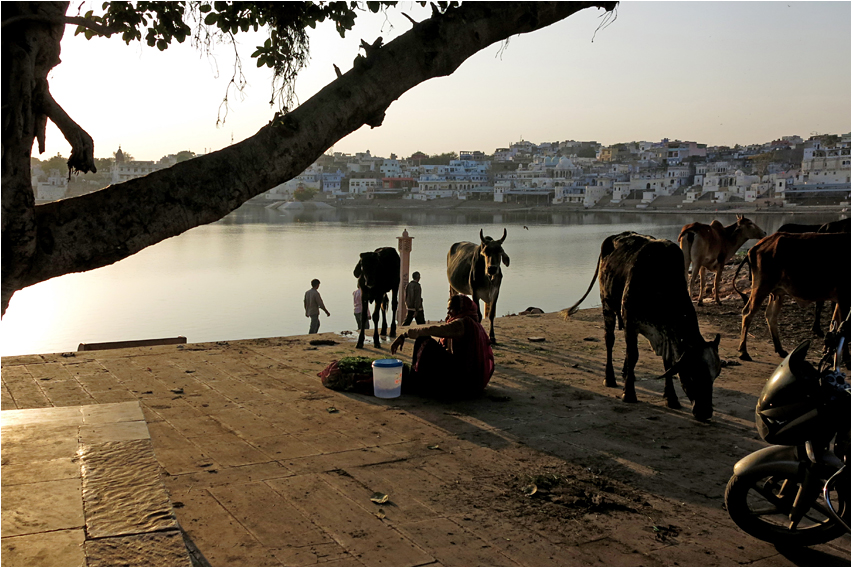 In Pushkar am See - 2