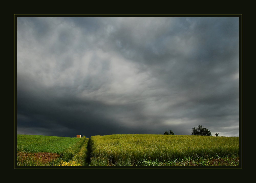 In quanto a cielo...