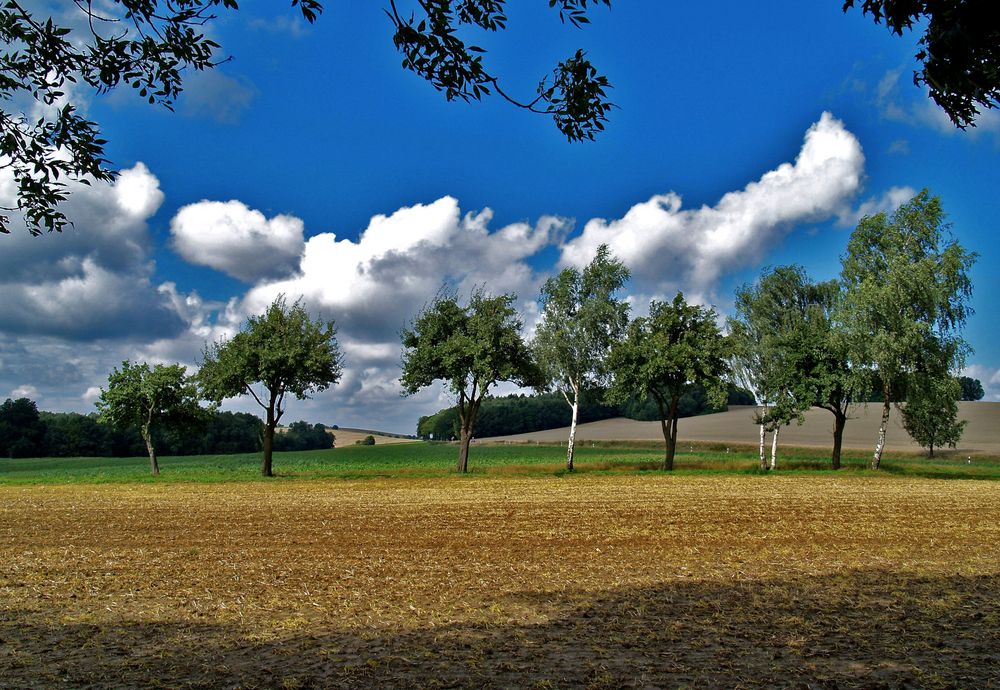 in rammenau ist immer noch der himmel blau