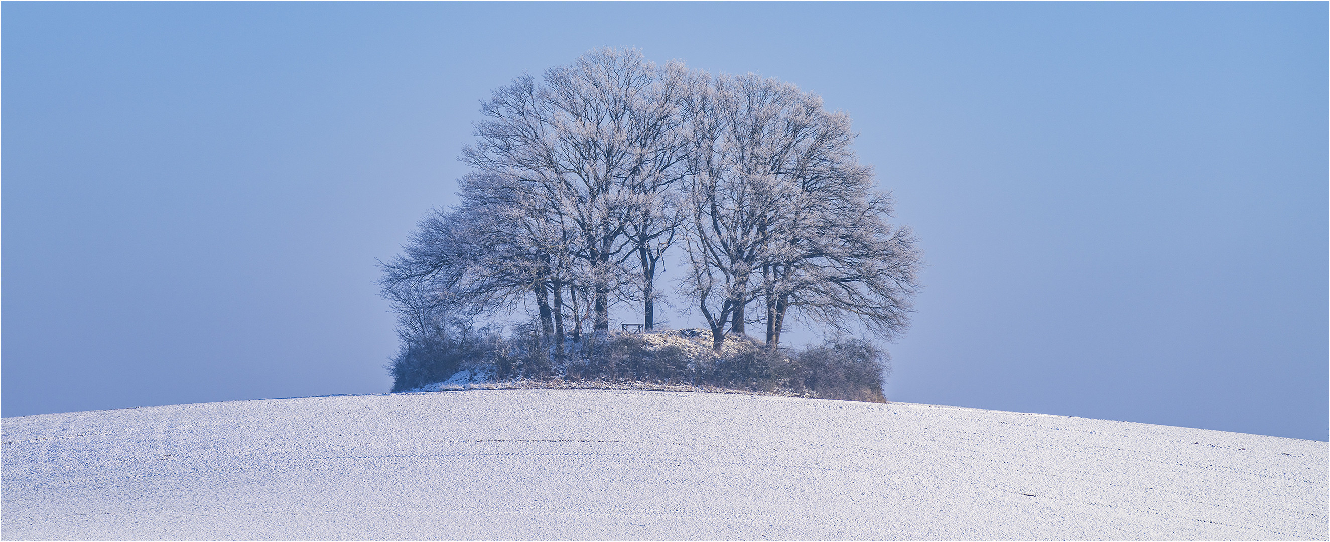 … In Raureif-Schnee-Melange bei blauem Himmel …