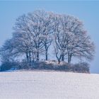 … In Raureif-Schnee-Melange bei blauem Himmel …