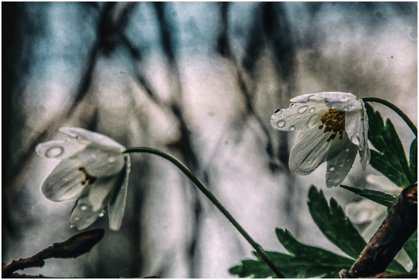 In Regen und Kälte