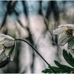 In Regen und Kälte