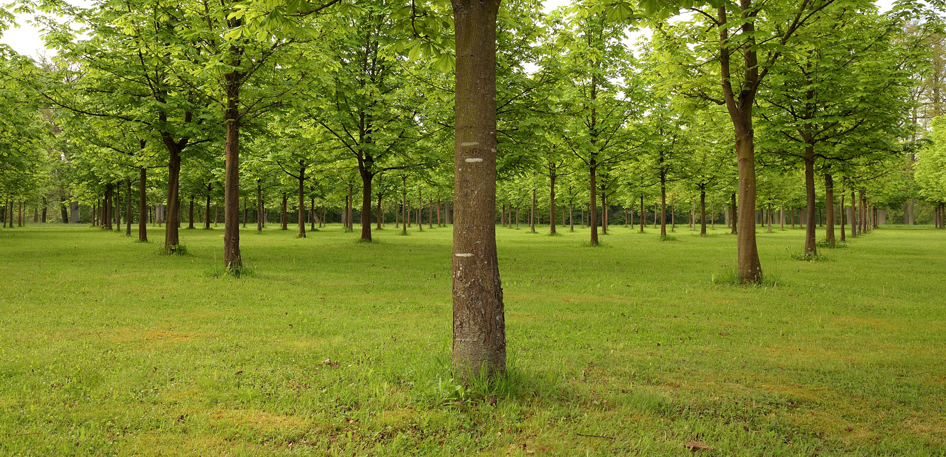 In Reih und Glied, noch ein Nachtrag vom Fototreffen in der Rhön.