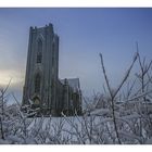 in Reykjavik