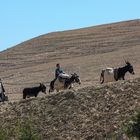 In Richtung afganische Grenze