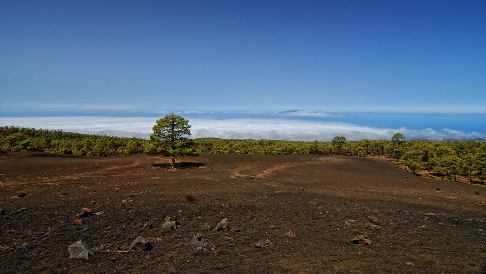 in Richtung La Gomera