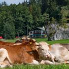 In Richtung Nationalpark Berchtesgaden