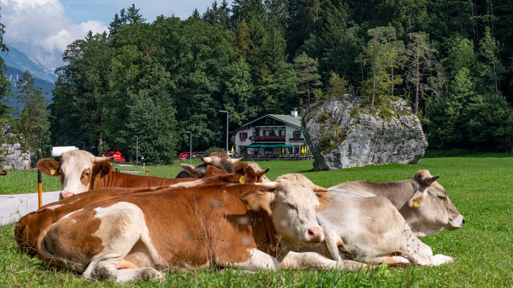 In Richtung Nationalpark Berchtesgaden