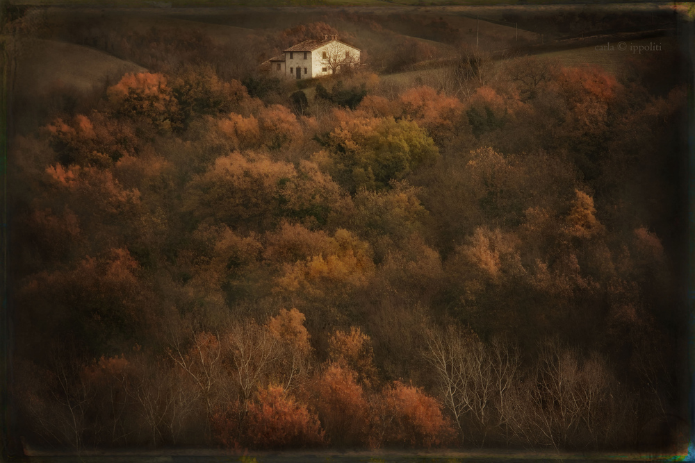 In ricordo di Carla Ippoliti - L'autunno della nostra campagna, 2010