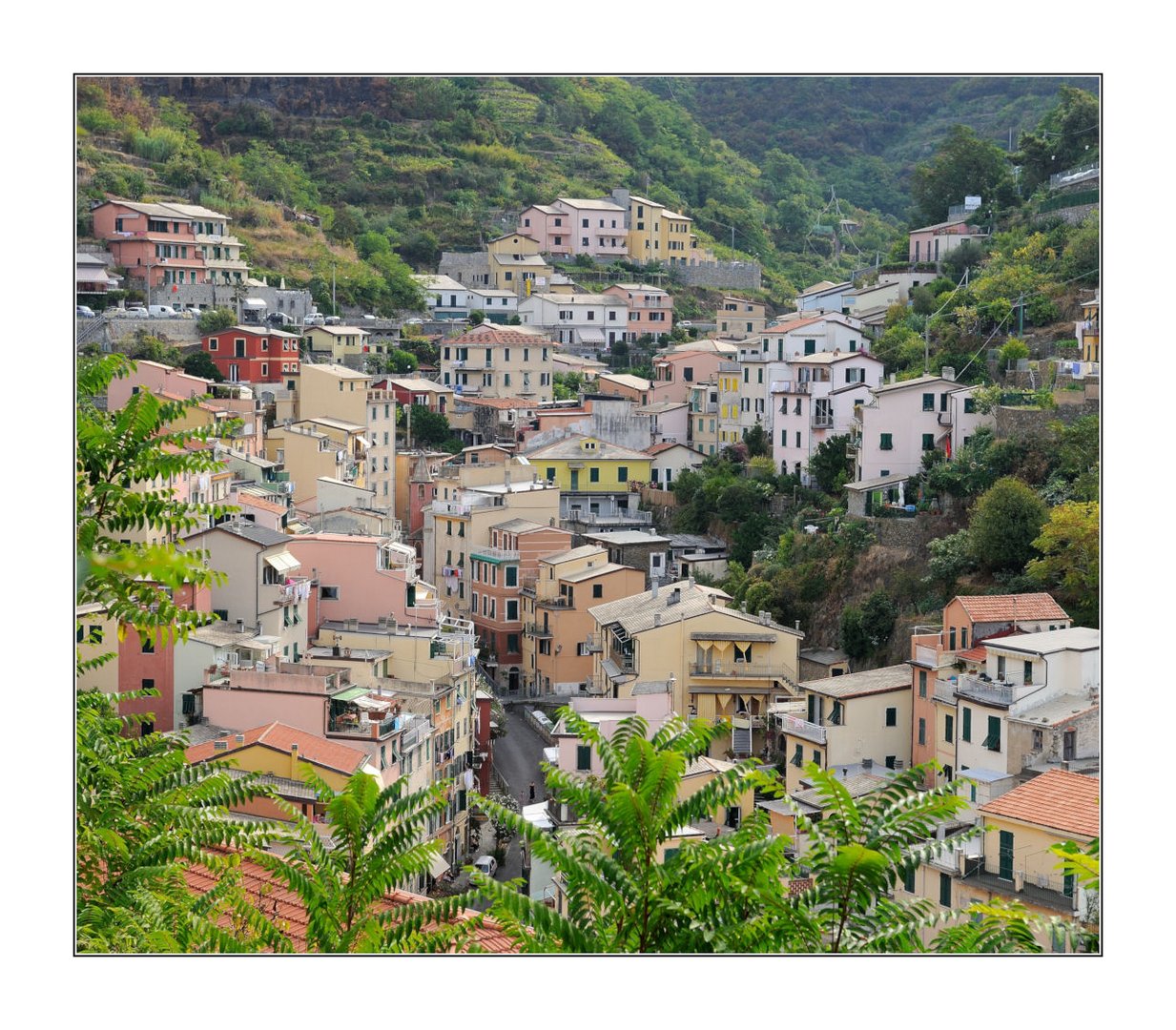 in riomaggiore