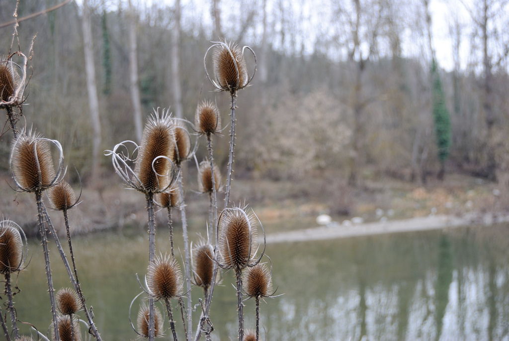 In riva al fiume