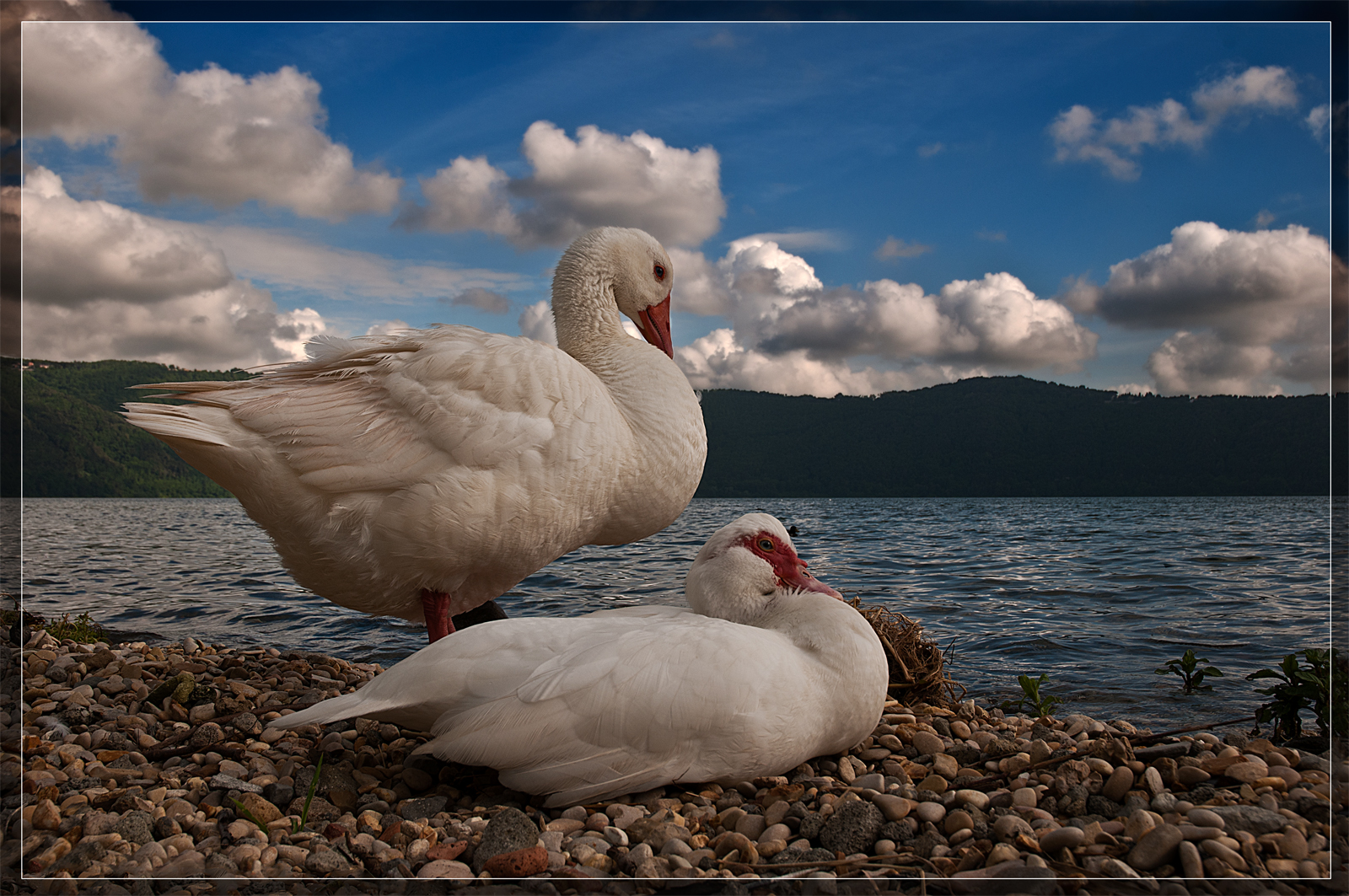 In riva al lago