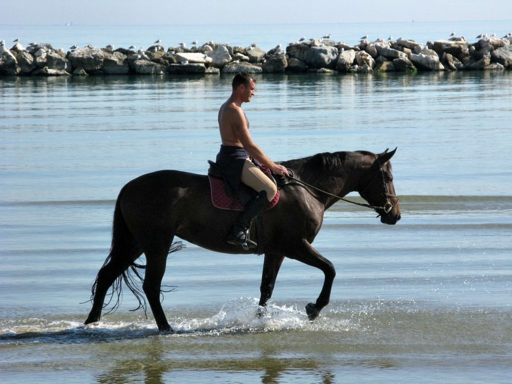 In riva al mare