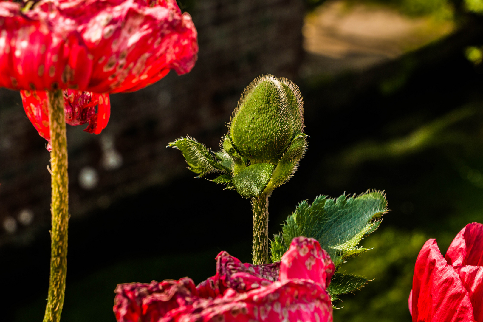 In roter Umgebung