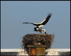 in Rühstädt, hinter Wittenberge am Karfreitag