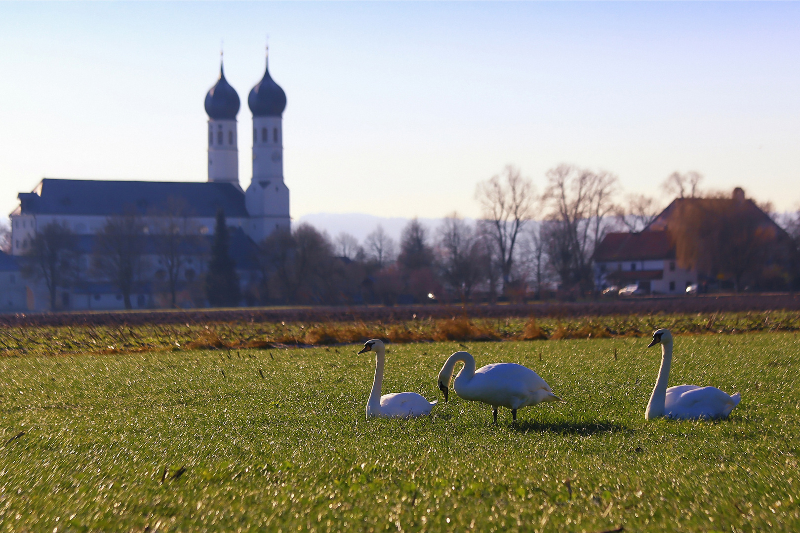 In Ruhe abwarten