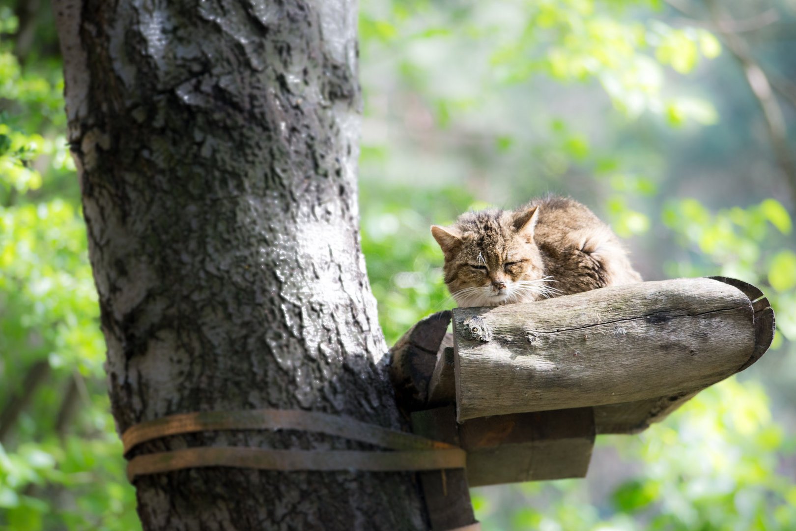 in Ruhe geniessen