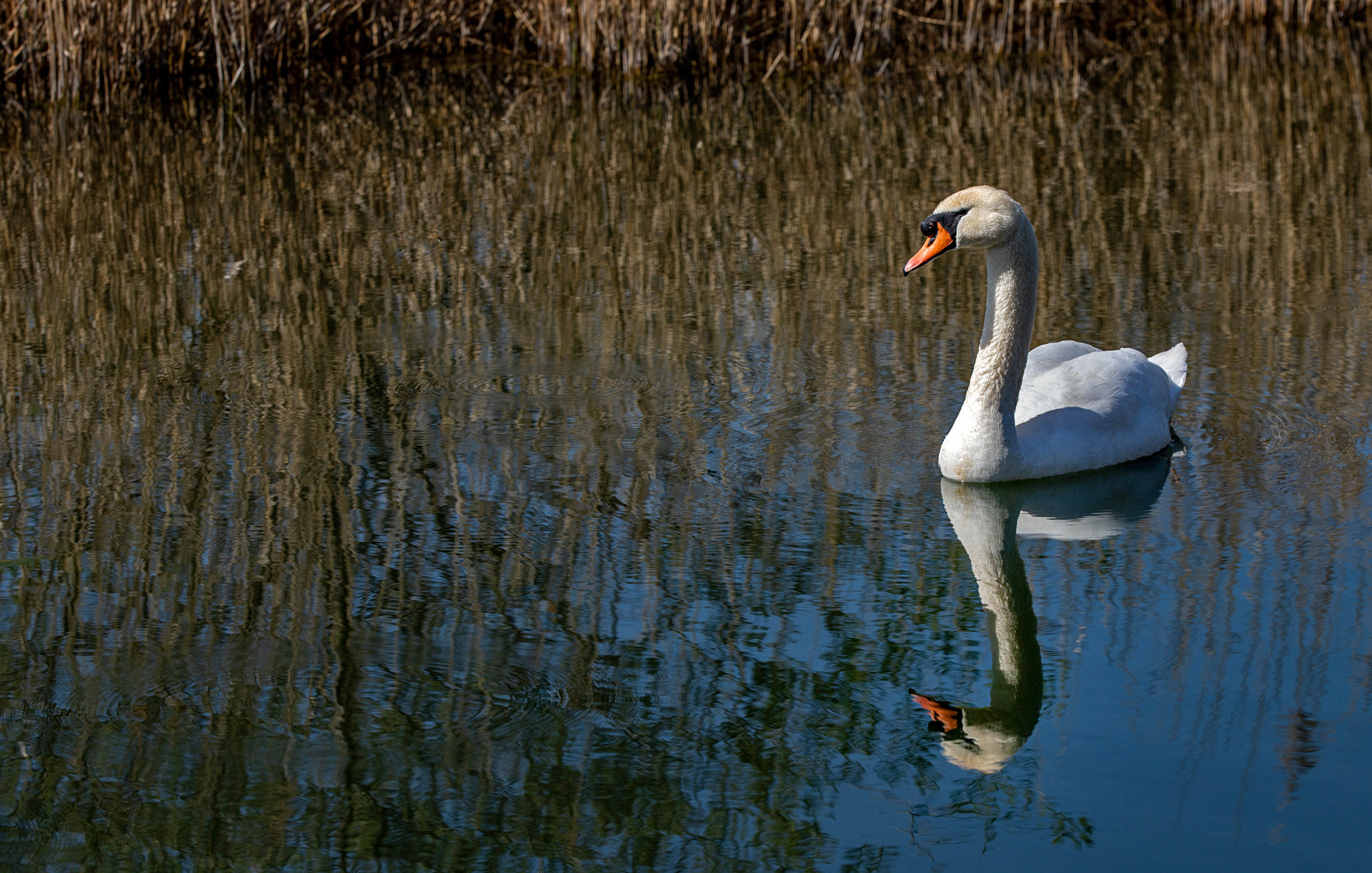 In ruhigem Fahrwasser