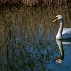 In ruhigem Fahrwasser