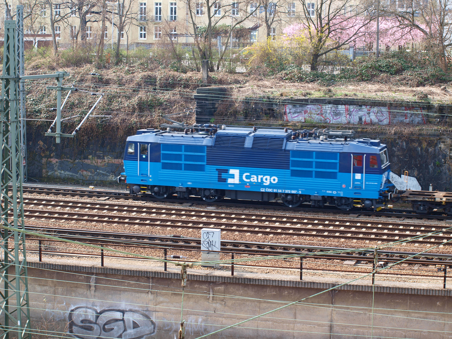 In Sachsen gibt es "griene Klüß"....