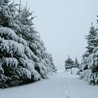 in Sachsen siehts aus wie in den Alpen