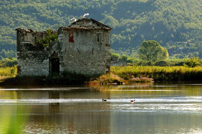 In saltpans Secovlje Slovenia