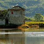 In saltpans Secovlje Slovenia