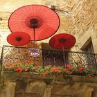 In Sarlat