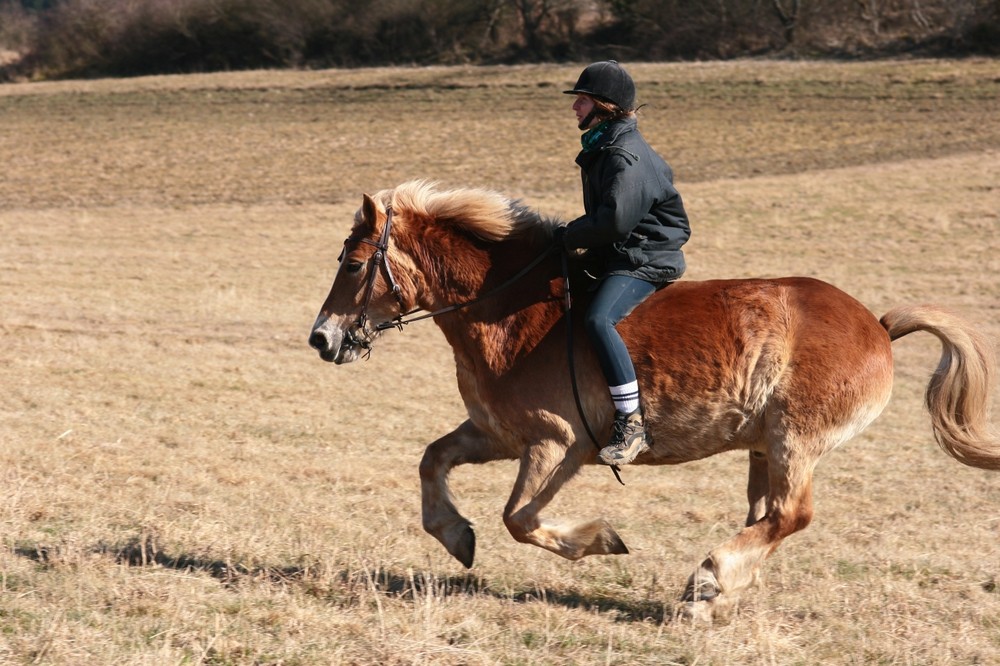 In schnellem Gallop dem Frühling entgegen.....