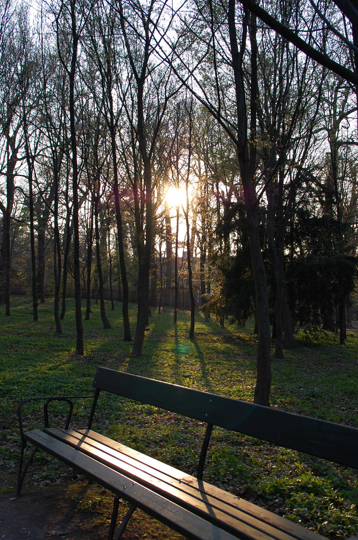 in Schönbrunn