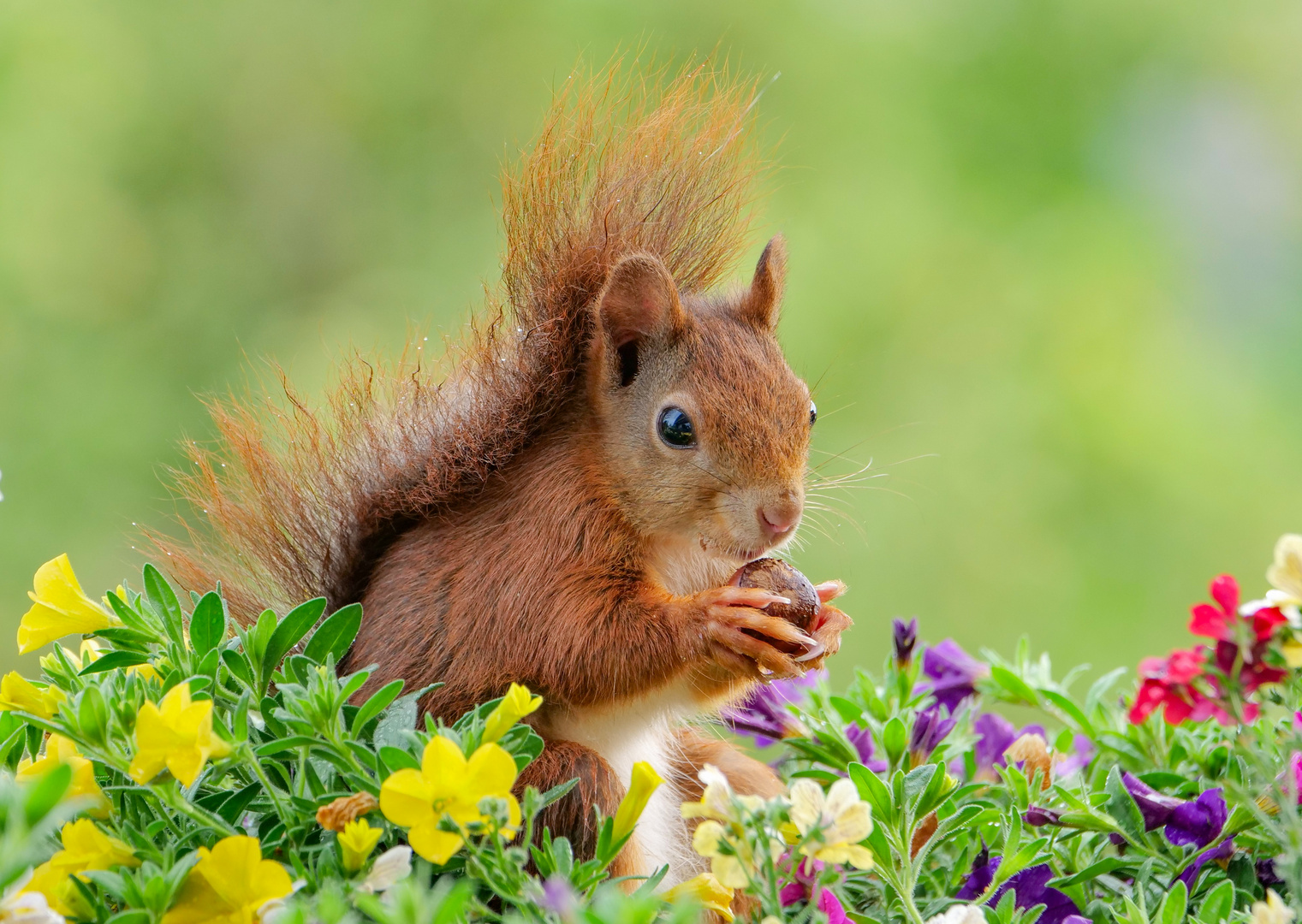 In schöner Pose