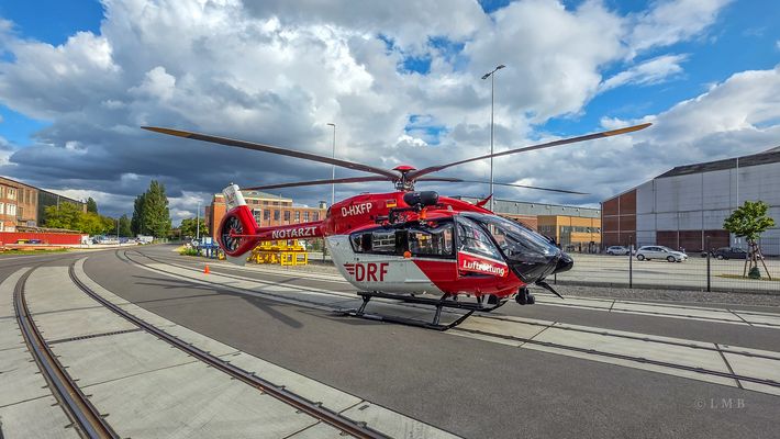 In schönster Fotoposition