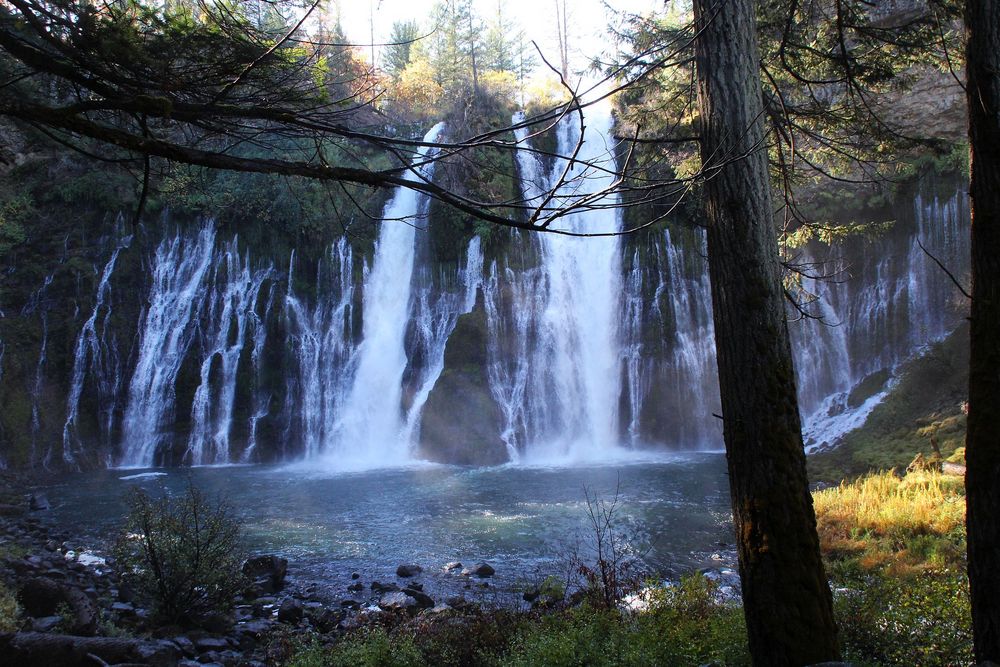 In schwierigem Licht präsentieren sich die McArthur - Burney Falls....