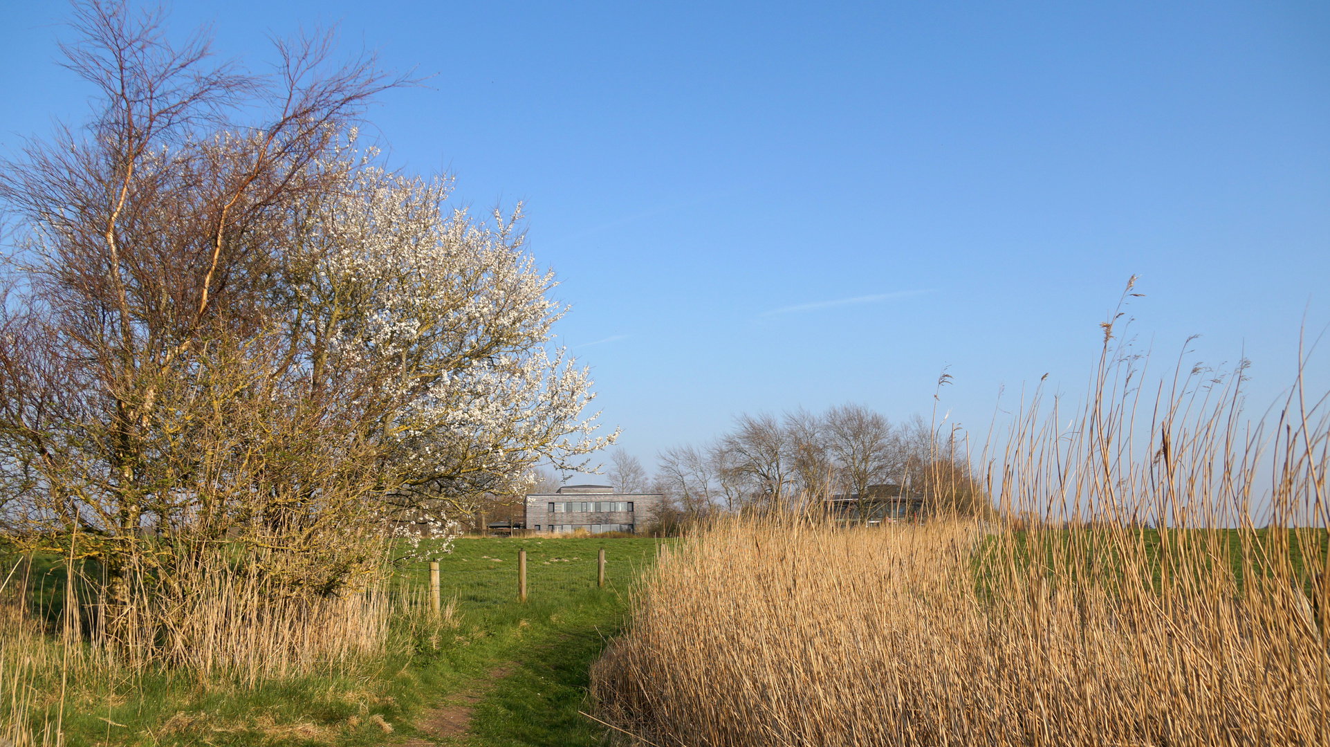 in Seebüll/Nordfriesland... 