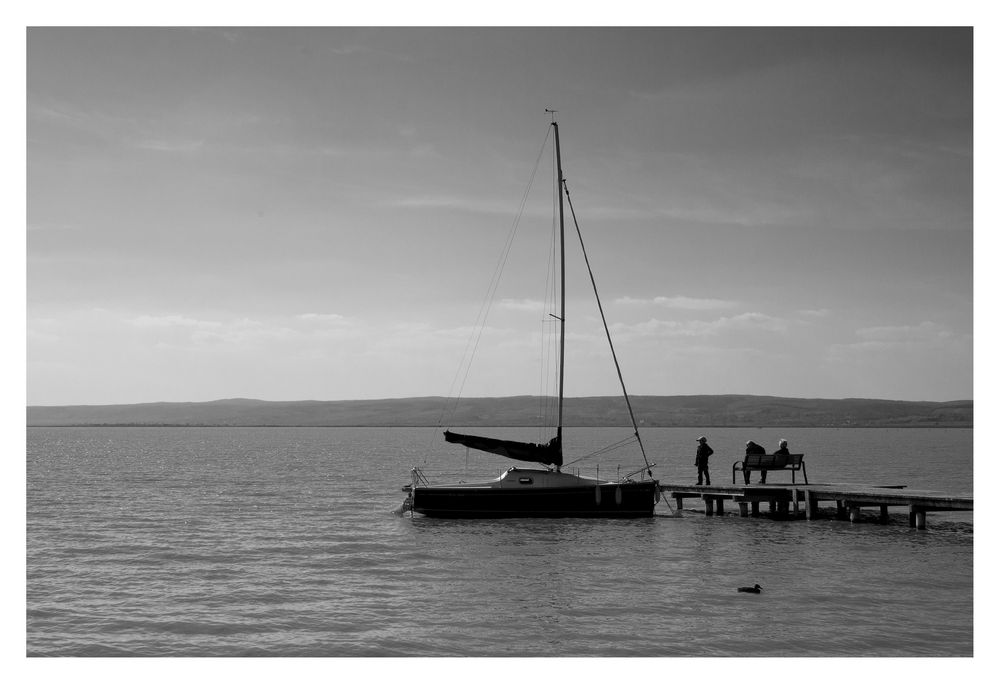 In sicherem Hafen