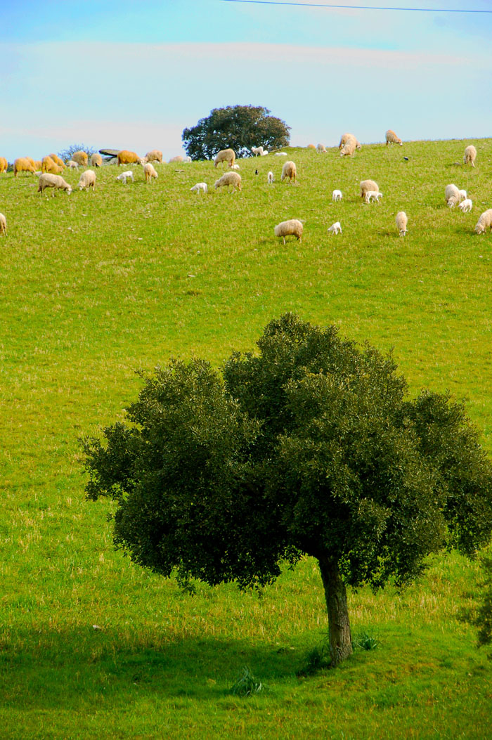 In silenzio