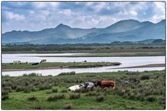 In Snowdonia