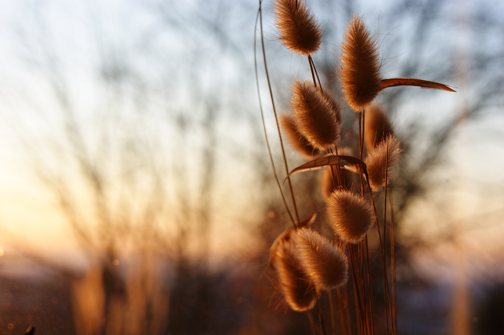 in sonnenlicht getaucht