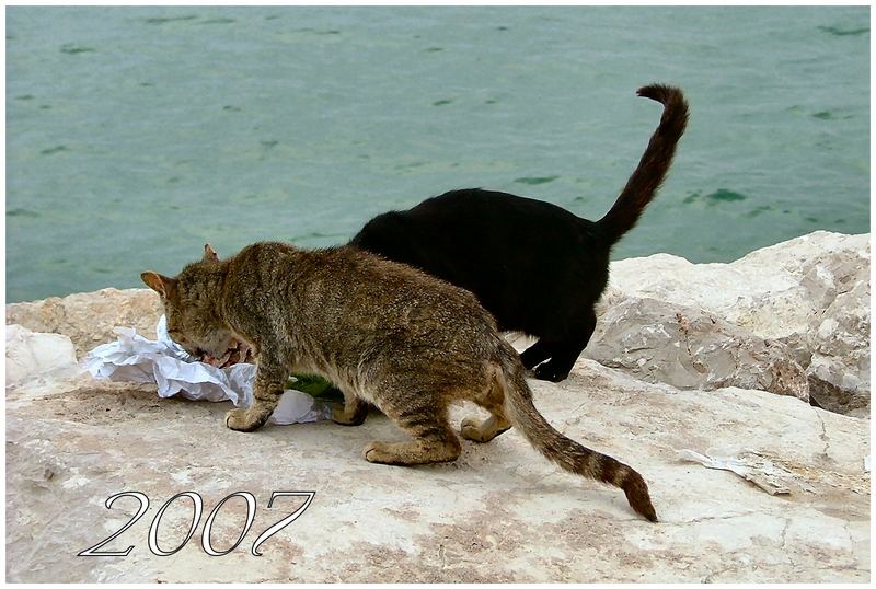 In spiaggia....Ora dello spuntino!!