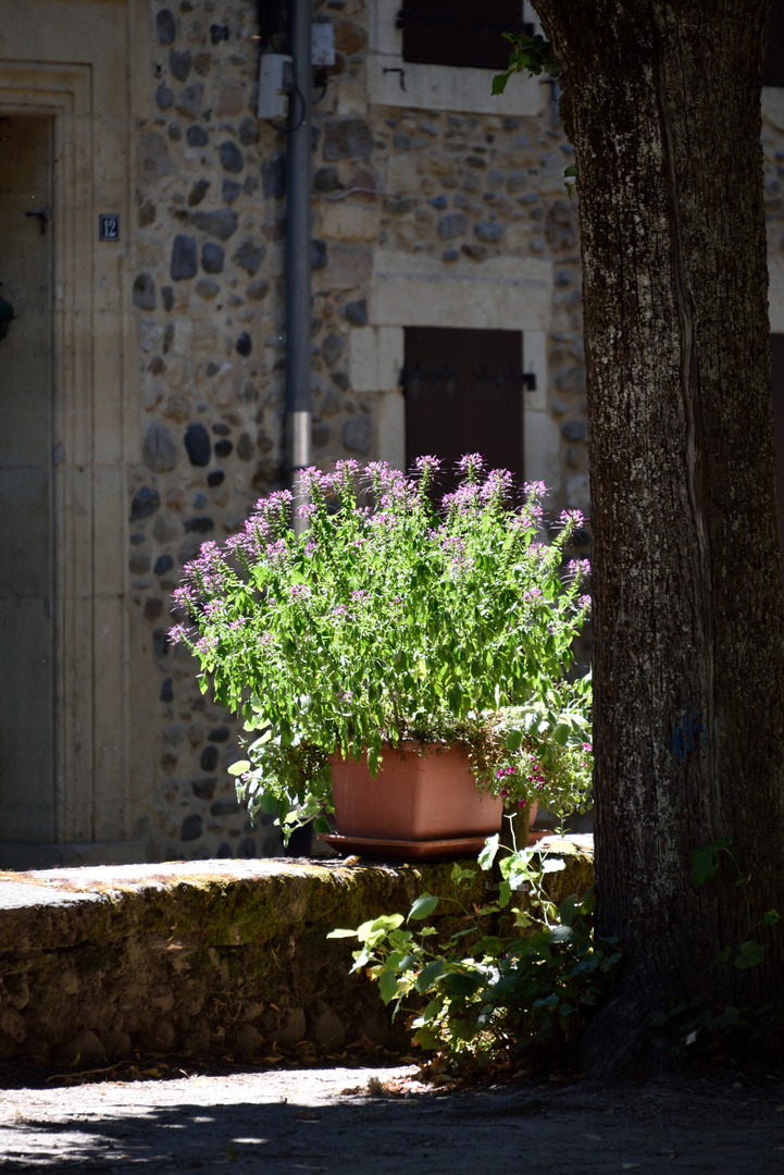 In St.-Geniez-d'Olt, Aveyron