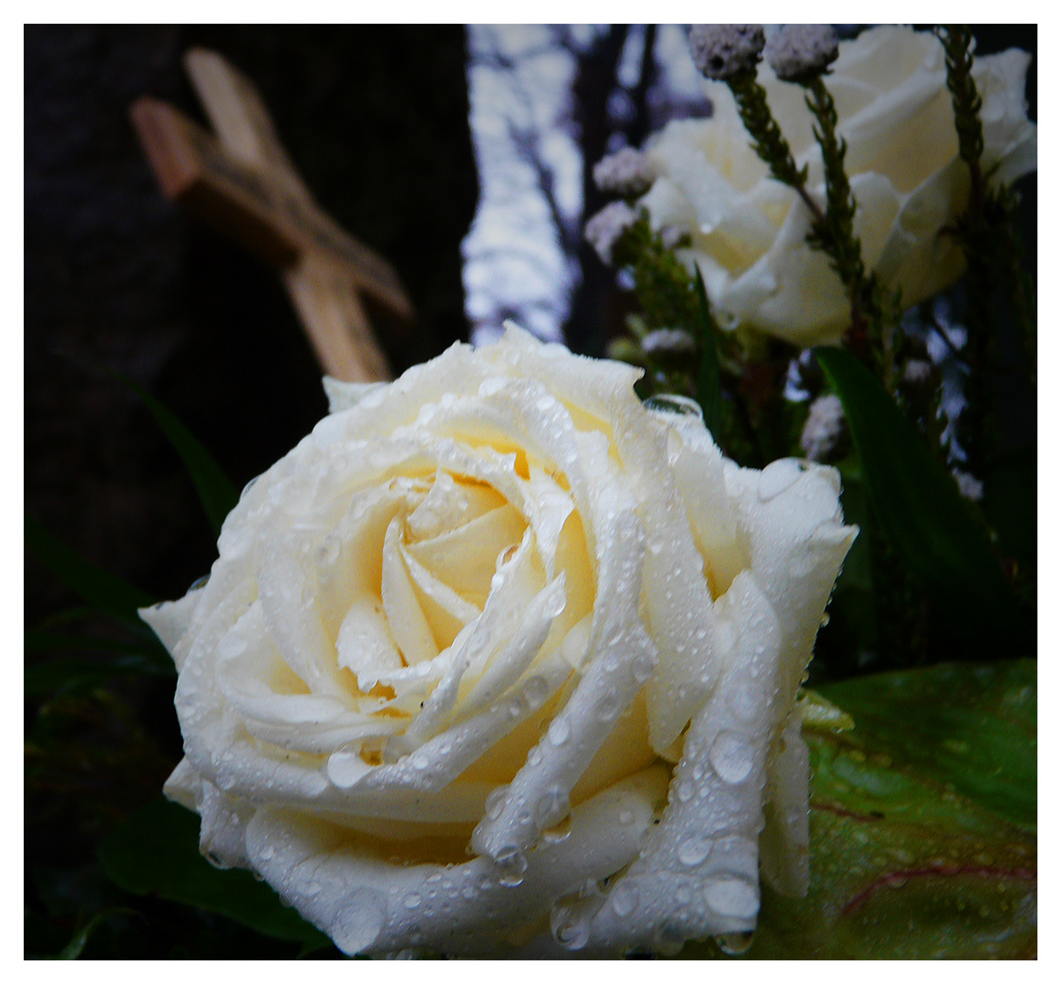 Get Fuer einen lieben menschen bilder For Free