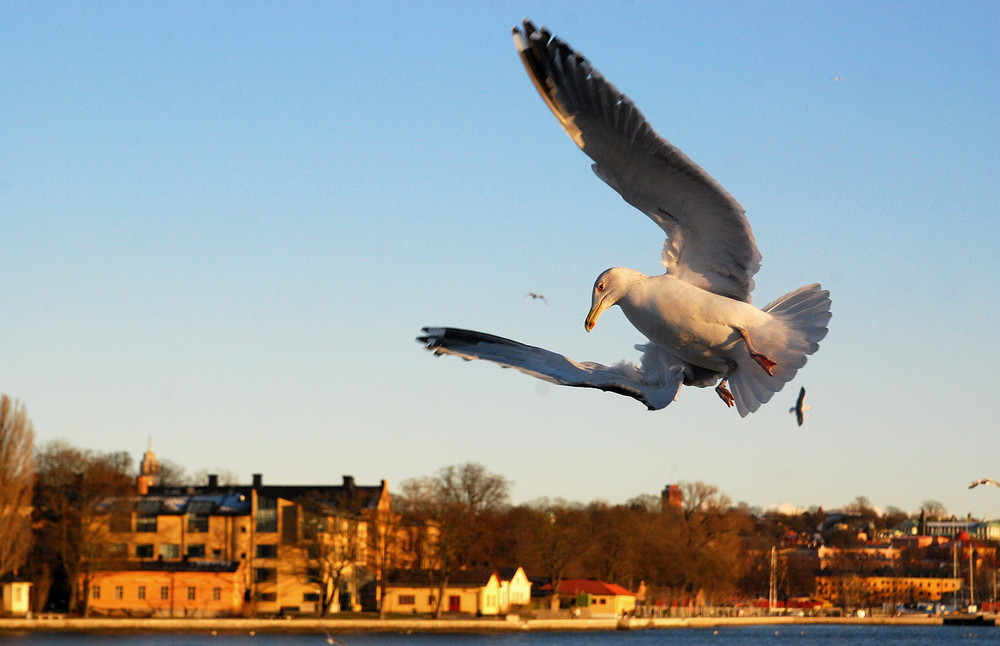 In Stockholm